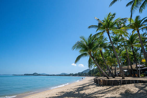 istock Tropical beach with palm trees and turquoise sea on Koh Samui 2252553784