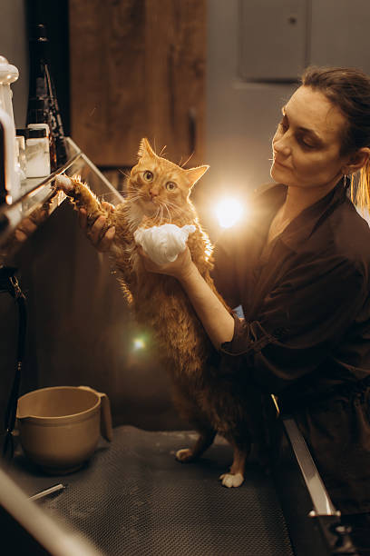 istock Ginger cat getting bath from woman at pet salon 2252553843