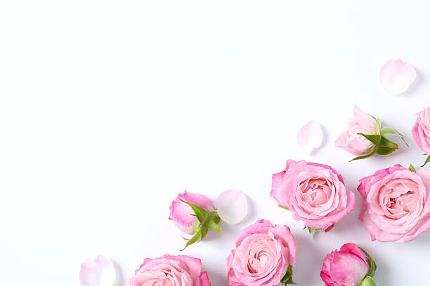 istock Beautiful composition with pink roses on white background 2252555188