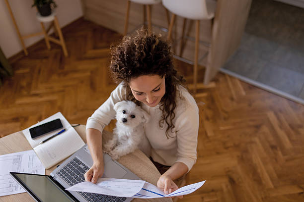 istock Joyful Remote Work Moment With Dog Companion 2252558053