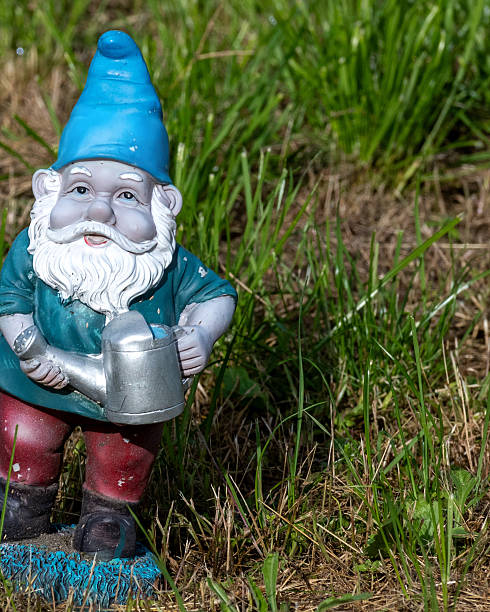 A cheerful gnome in a blue hat and colorful clothes is seen watering plants in a sunny grassy area. Grass surrounds the playful garden figure, enhancing the outdoor scene.