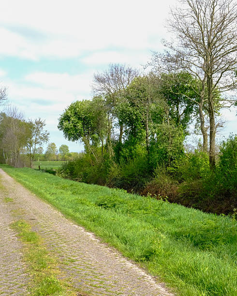 istock Pathway along lush greenery and trees in a peaceful rural setting during daylight 2252562448