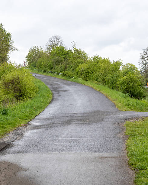 istock Scenic winding road through lush greenery in a tranquil countryside setting during cloudy weather 2252562536