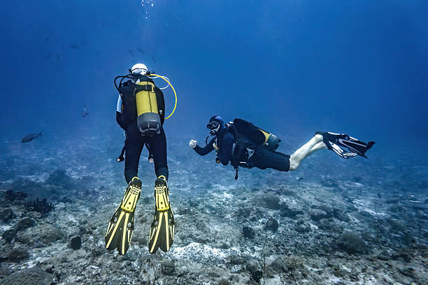 istock Two scuba divers exploring an underwater coral reef in the clear blue ocean, enjoying a tropical leisure adventure and discovering marine life in the Maldives 2252565727