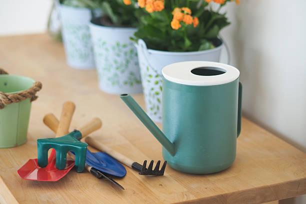 istock Gardening tools and watering can on wooden table 2252575367
