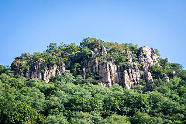 Rocky hill covered with dense green forest under clear blue sky, India.