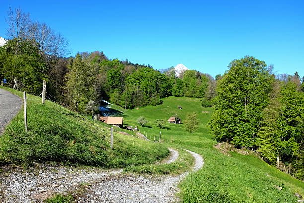 istock Scenic Rural Landscape with Winding Path 2252581190