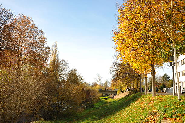 istock Peaceful terrace decorated with autumn leaves, Quiet cafe setting by river with autumn decor and sunlight 2252583717