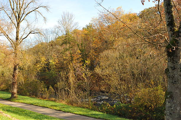 istock Tranquil riverbank with golden trees, Peaceful waterside surrounded by leafy trees and reflections 2252584739