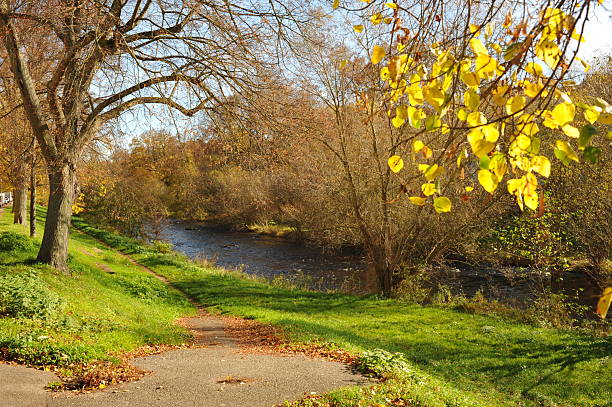 Pforzheim, Germany Dezember Yellow leaves forming canopy over path, soft light filtering through branches onto paved trail, river