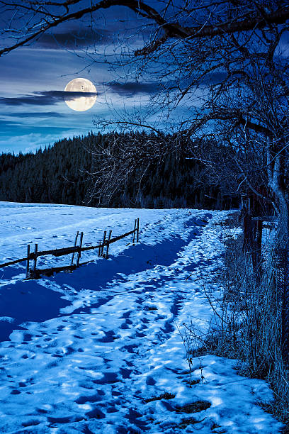 istock rustic wooden fence through snow covered hill at night 2252585153