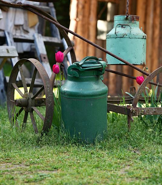 Antique milk cans are used as decorative elements in the garden