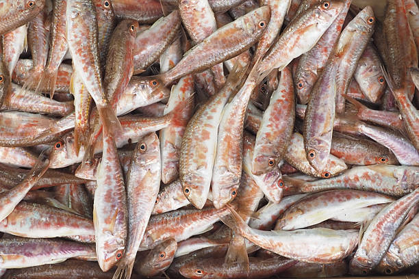 istock Freshly caught fish displayed at a local market 2252586393