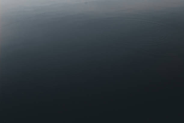 Dark river water with natural circular ripples. Abstract water texture, ideal as a background for design, advertising, websites, banners, and print materials. Concept of calmness, nature, and har