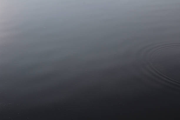 istock Dark river water with natural circular ripples. Abstract water texture, ideal as a background for design, advertising, websites, banners, and print materials. Concept of calmness, nature, and har 2252586682
