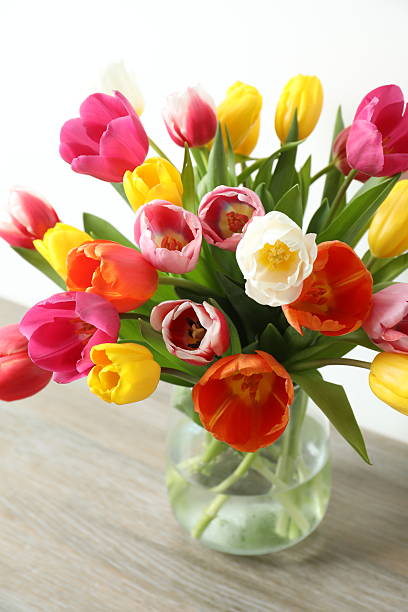 istock Beautiful fresh tulips in a vase on the table 2252588301