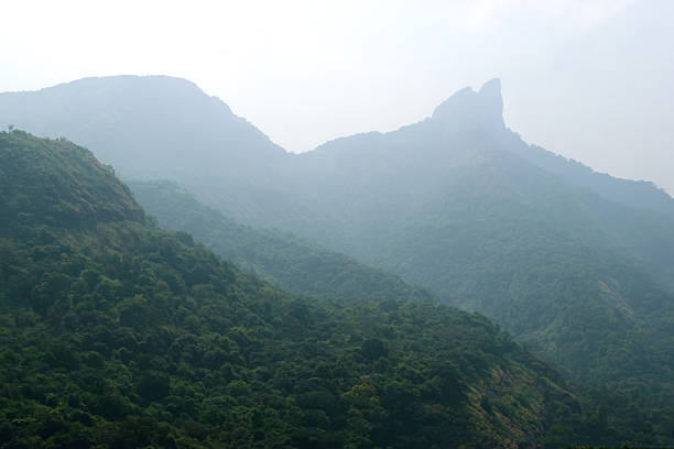 Dense rain forest in Sahyadri mountain range in Maharashtra which forms an important part in ecologically sensitive Western Ghats in India.