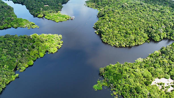 istock Stunning landscape of Amazon Forest at Amazonas State Brazil. 2252605005