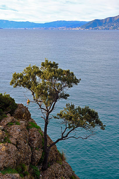 istock Camogli and Punta Chiappa italy 2252605054