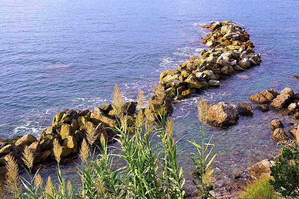 Panoramic view of Camogli and Punta Chiappa, in Liguria, Italy