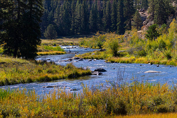 Hiker palying water in a mountain stream