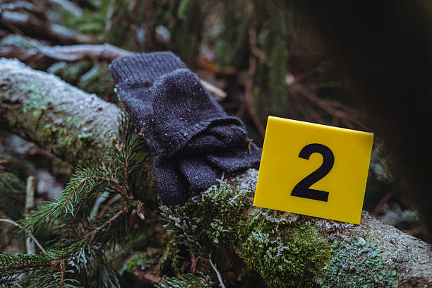 Close-up of marked objects with forensic numbers: gray knitted gloves.