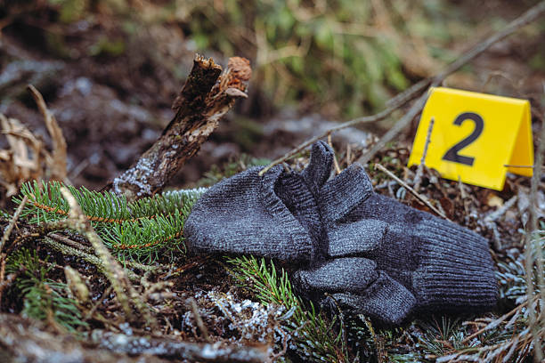 Close-up of marked objects with forensic numbers: gray knitted gloves.