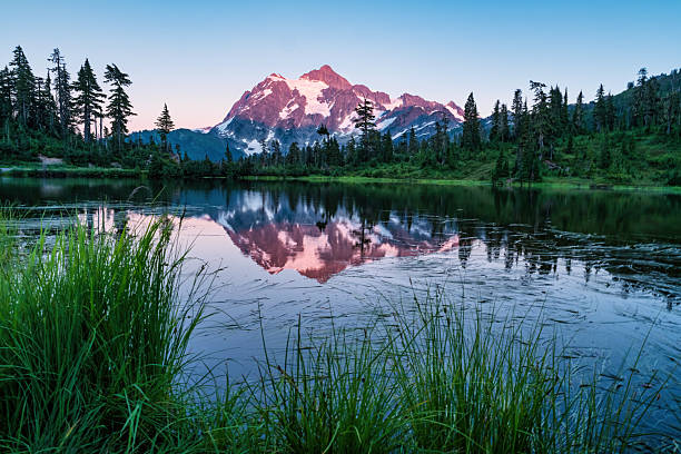 This young woman hiker is enjoying the view of Mount Rainier reflected in Aurora Lake.  This photograph was taken at Klapatche Park in Mount Rainier National Park, Washington State, USA.