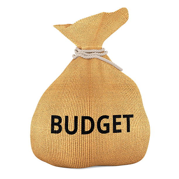 istock Budget concept with burlap money bag. 3D rendering 2252620188