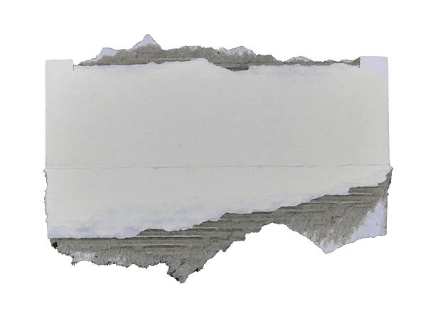 istock Brown and white corrugated kraft paper torn into pieces isolated on white background 2252627093