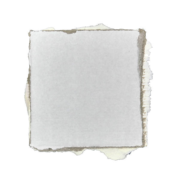 istock Brown and white corrugated kraft paper torn into pieces isolated on white background 2252627102