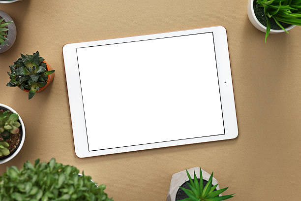 istock Modern tablet and houseplants on dark beige background, flat lay. Space for text 2252636920