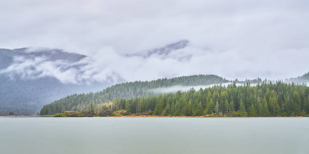 istock Winter View of Pitt Meadows 2252642563