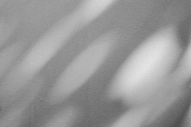 istock Abstract natural tree branch leaves shadow on white wall background 2252643478
