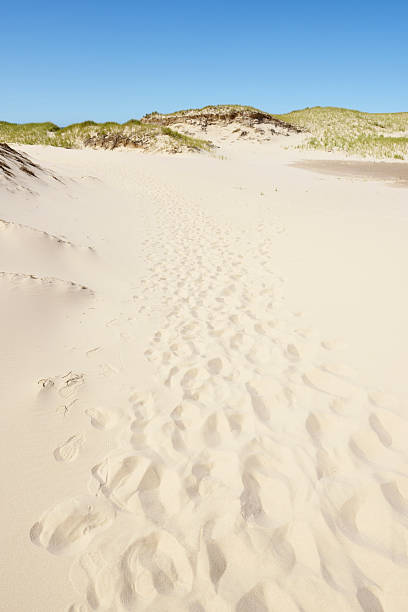 istock Footprint in sand dunes 2252647343