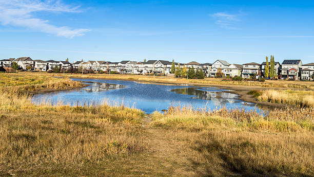 istock Stormwater Management Pond with wildlife birds 2252648371