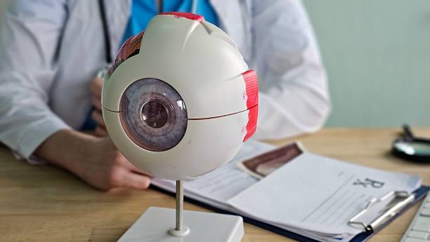 istock Model of an eye on table with person in background 2252649549