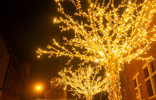 Trees in a city square are covered in bright lights. Enjoying the festive atmosphere at night. Christmas market in Gdansk, Poland