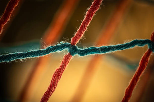 Exquisite bright fancy mesh net. A fragment of fabric, textiles in detail. Image under the microscope, micro photography. Science, study and education. Multiple zoom, close-up. Scientific photography new
