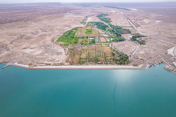 istock Oasis Nestled by the Lakeside in Desert Terrain 2252660021