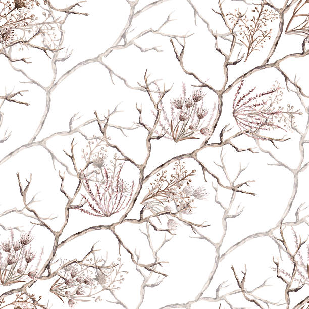 istock A seamless pattern with a variety of steppe grasses, flowers, and branches arranged diagonally. Watercolor illustration for eco-projects, posters, hotel designs, and nature reserve websites. 2252661674