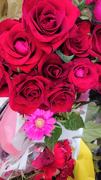 istock Fresh red roses bouquet wrapped in decorative paper 2252665754
