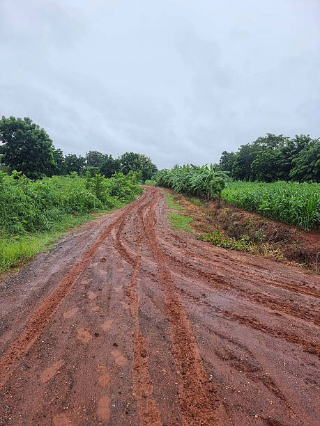istock dirt road in country Thailand 2252670331