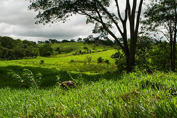 istock Sunlit Rural Landscape with Clouds 2252670861