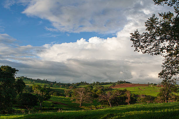 istock Rural Landscape with Long Shadows 2252670862