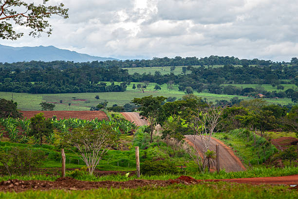 istock Empty Asphalt Road with Fence Posts in Foreground 2252670907