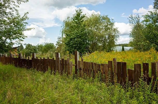 Weathered posts along reed lakeside, rustic fence remnants in tall grass with mossy wood and reflective water beyond under moody