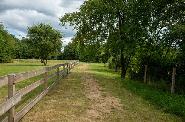 istock Serene dirt track leading into quiet countryside surroundings 2252674829