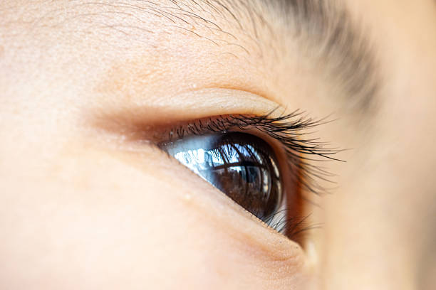 Blue gentlemen's eye