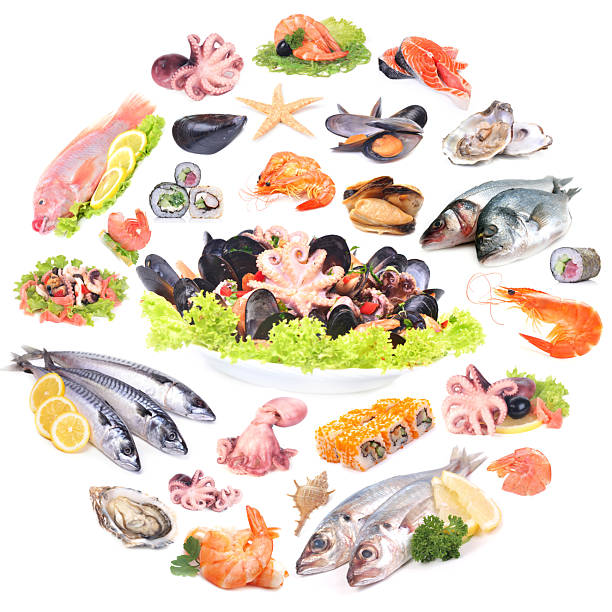 The most refined seafood from around the world
